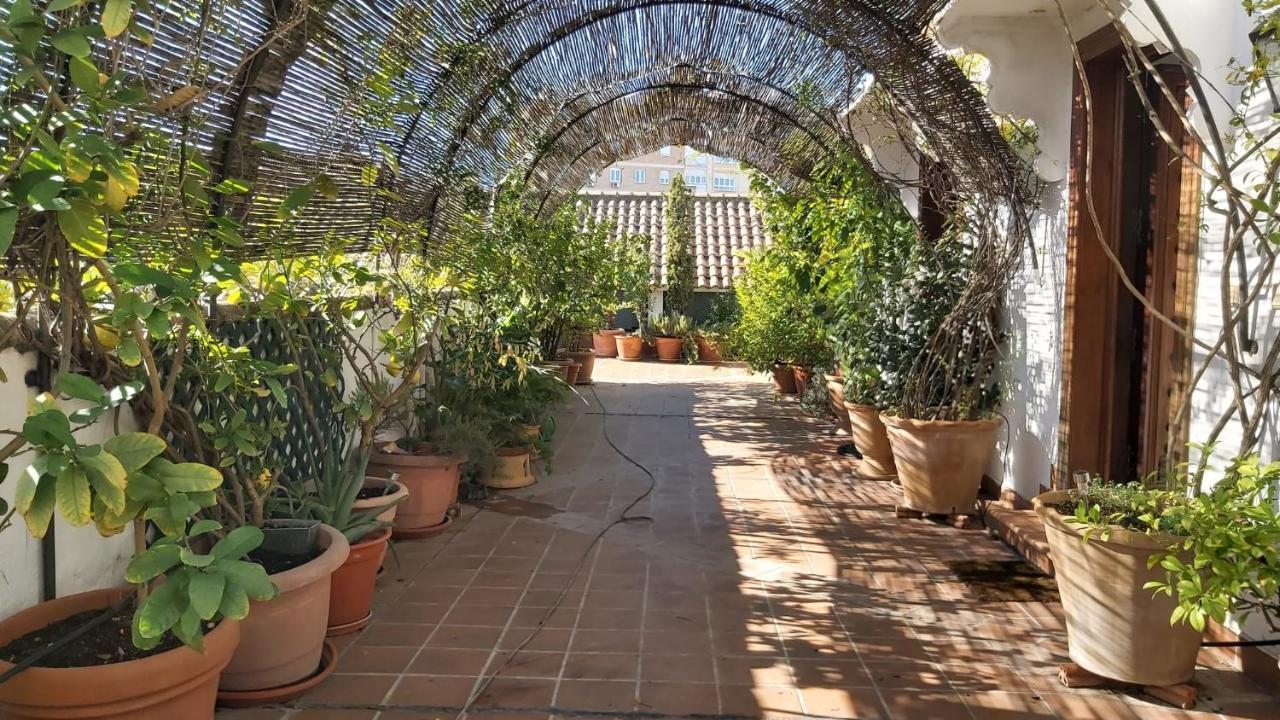 El Jardin De Wallada Córdoba Kültér fotó